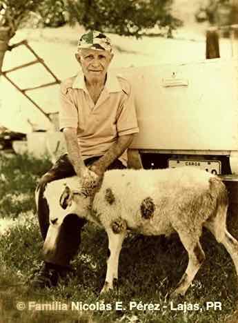 Bermont Ram&iacute;rez y Paloma
