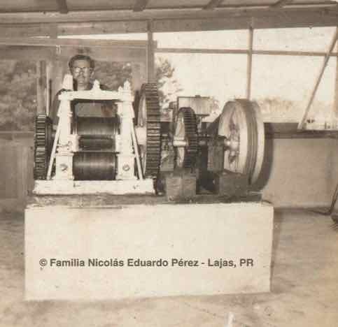 Pancho P&eacute;rez en su trapiche